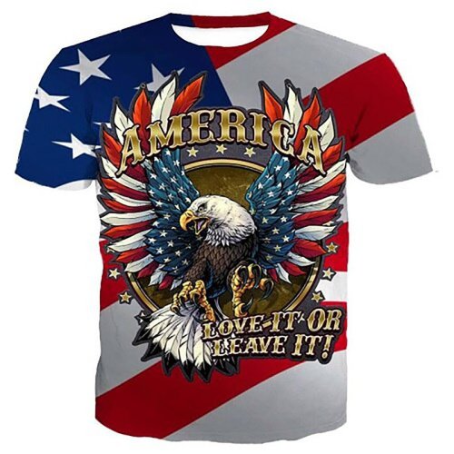 American Eagle Flag  Love It Or Leave It  Shirt